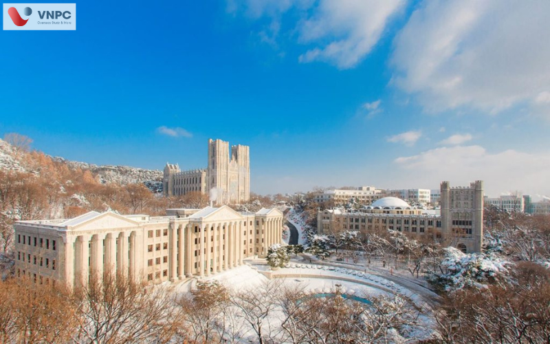 M.77King casino trực tuyến Kyung Hee (Kyung Hee University)